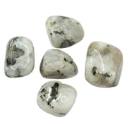 Rainbow Moonstone Tumbled Stone - Love Rocks